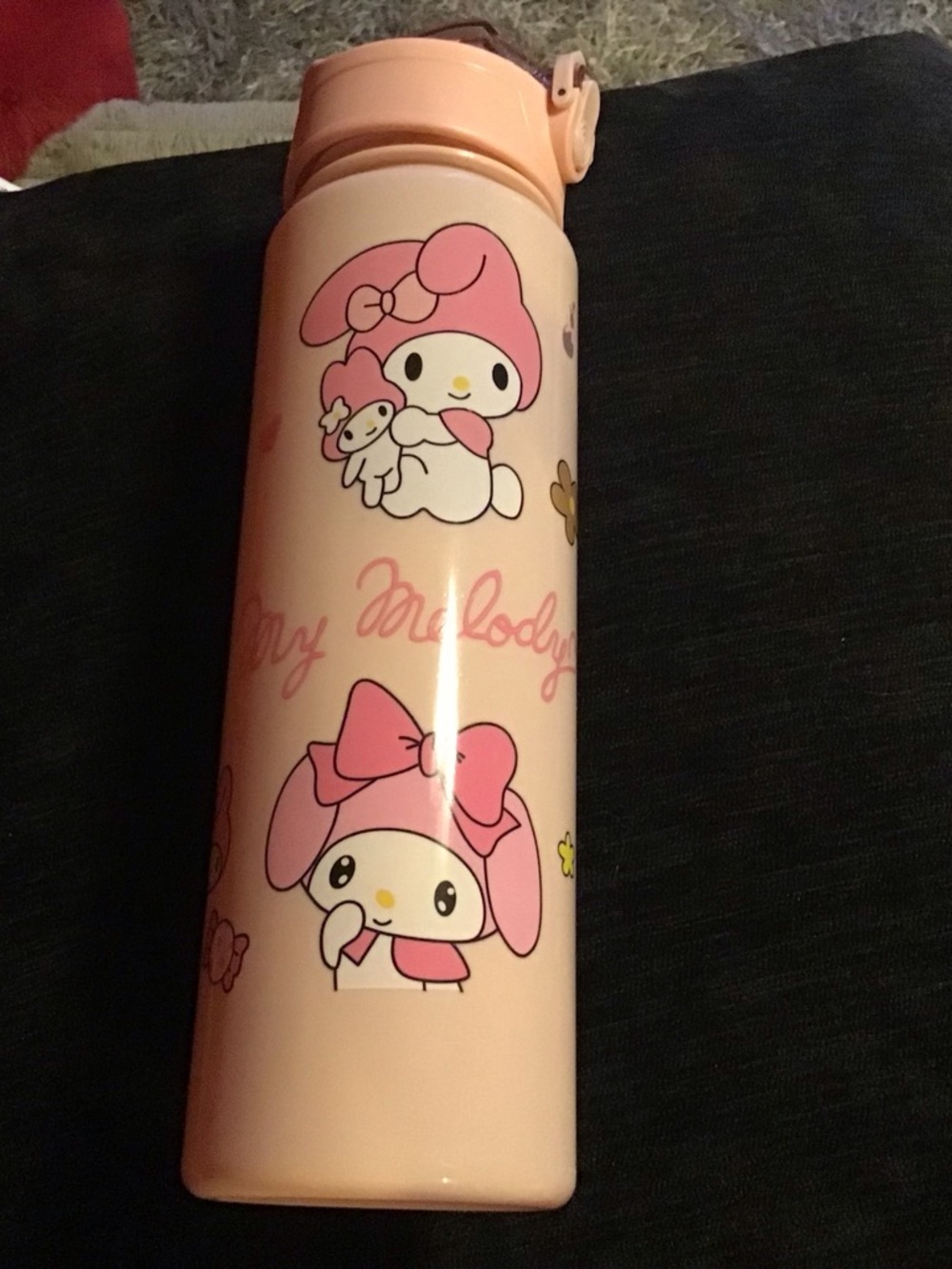 Sanrio My Melody Pink Stainless Travel Bottle